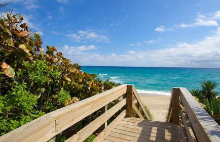 La Casita on Antique Row - Foto 13