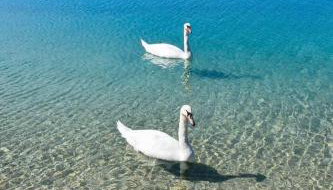 4REST VILA - Photo 5