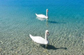 4REST VILA - Photo 5