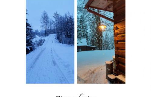 Willa Witówka - Foto 30