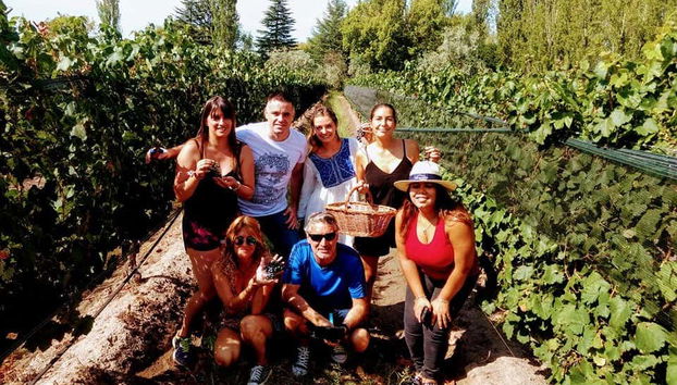 Conociendo la tradición vitivinícola de San Rafael