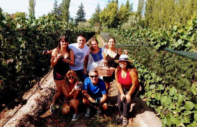 Tour de vinhedos e adegas por San Rafael - Foto 1