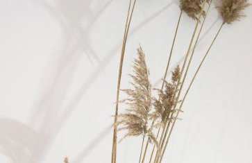 IADES suites - Foto 55