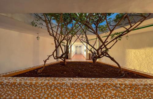 Apartament Sunrise - Foto 51