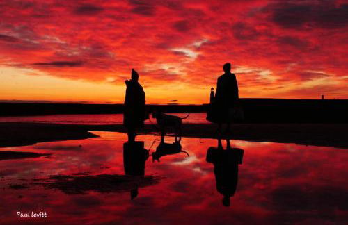 Coastal Apartments No 1 - Photo 59