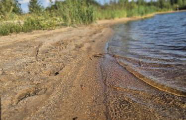 Mein Strandkasten - Foto 33