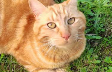 La Casa Bidule - Photo 14