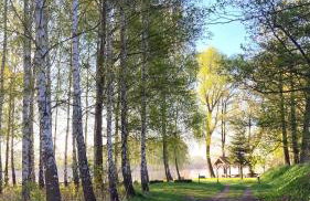 Vitalny Domek z ogrodem nad jeziorem, 10 min od Mrągowa - Foto 26