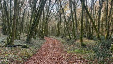 Blue Horizons Farm - Countryside Gîte - Pet Friendly - Sleeps 8 - Foto 5