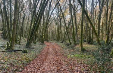 Blue Horizons Farm - Countryside Gîte - Pet Friendly - Sleeps 8 - Foto 5