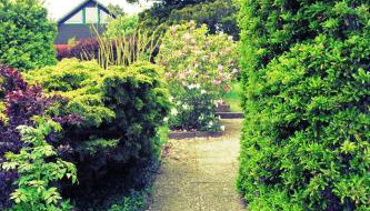 FEWO Nautilus bei Kappeln Ostsee - Foto 3