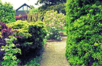 FEWO Nautilus bei Kappeln Ostsee - Foto 3