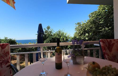 Seaside Apartments Hrka - Studio Apartment with Terrace and Sea View 3 - Foto 2