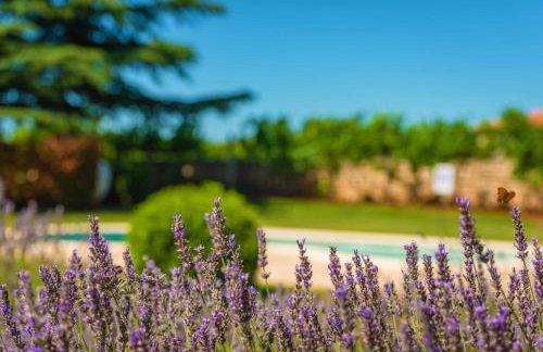 Villa Branko Istria - Foto 16