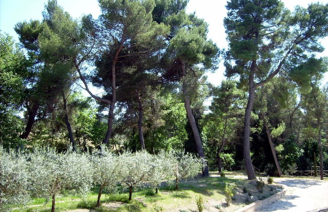 Agriturismo I Getsemani - Photo 24