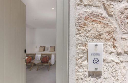 ANEMOLETHE - Foto 42