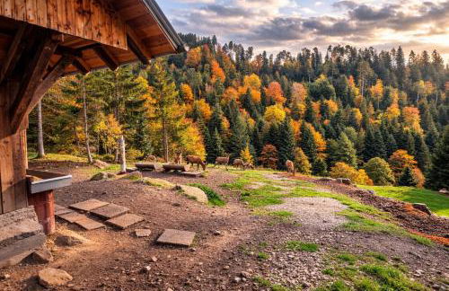Ferienwohnung Panoramablick Bermersbach - Foto 28