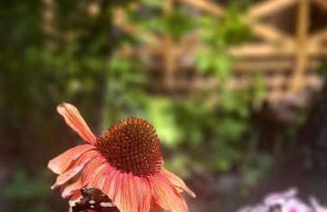 Mała Garda - Foto 42