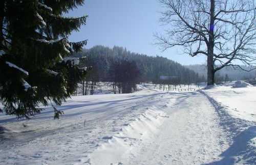 Ferienclub Maierhöfen - Foto 44