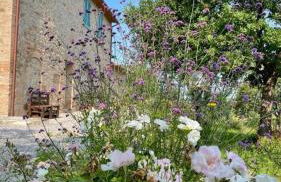 Podere Stabbiatelli - Foto 18