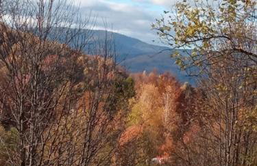 Gospodarstwo Agroturystyczne - Foto 18