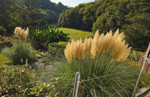 Ferienwohnung-Pension Osterwiese - Foto 12