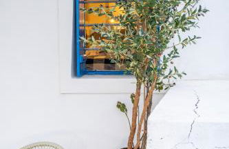 Nisos Villa Olympos Karpathou - Foto 27