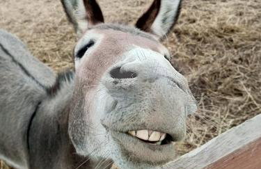 Agroturystyka Nad Łąkami - Foto 64