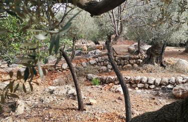 Villa Ideal - Foto 29