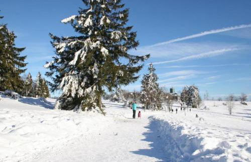 Großzügige Villa in Olsberg-Elpe - Foto 12