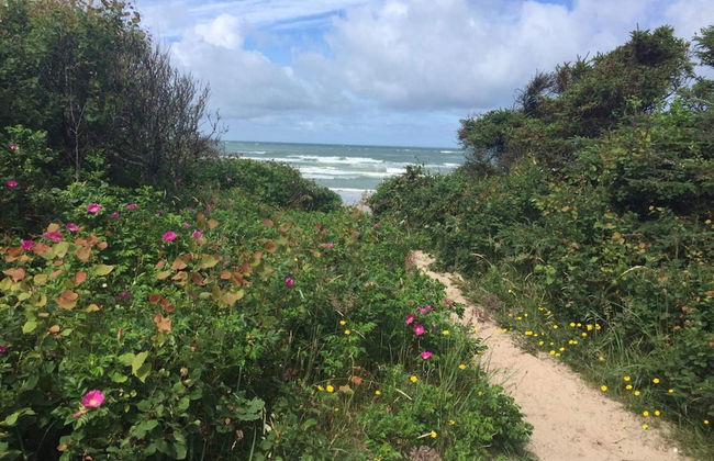 Secluded Oasis With Pool - By Traum Ferienwohnungen - Foto 20