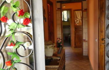 ETNA Family - Foto 15