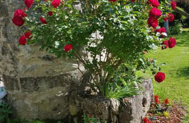 Grange Voutée avec jardin - Foto 27