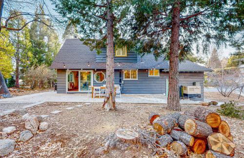 Saint Bernard Beauty - Foto 22