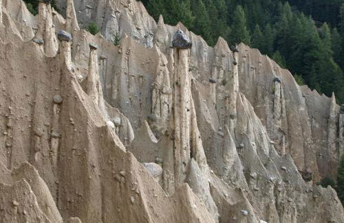 Panorama-Apartments Oberkofl - Photo 47