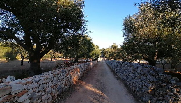 visita di MARTINA FRANCA-CISTERNINO e CEGLIE MESSAPICA di Bari - Foto 3