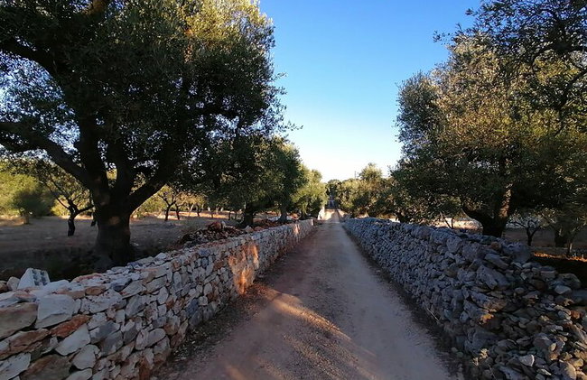 visita di MARTINA FRANCA-CISTERNINO e CEGLIE MESSAPICA di Bari - Foto 3