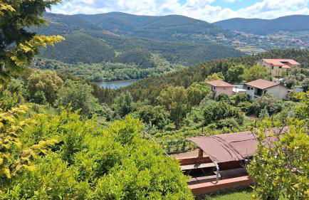 Solar do Sebolido - Foto 48