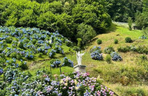 Nonni Ciupei N4 - Foto 18