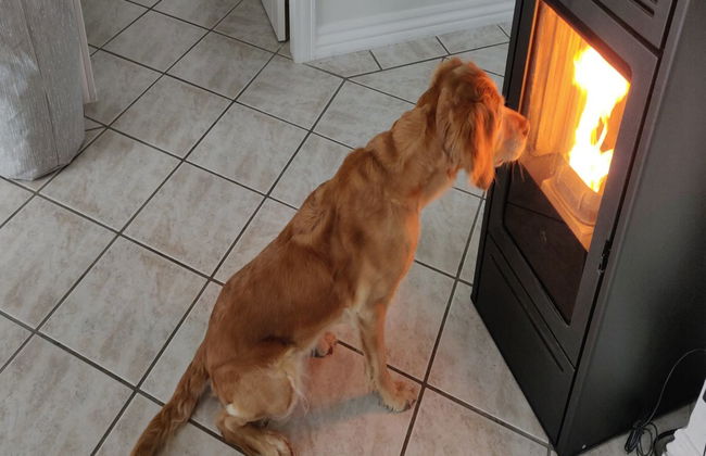 "Asfrith" - 400m from the sea - Foto 29