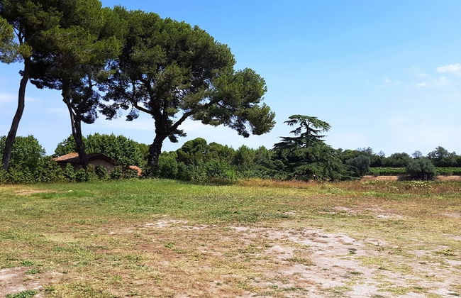 Chateau Saint Martin de Graves - Foto 40