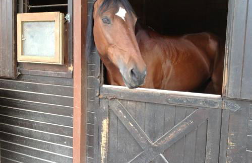 Quinta Das Escomoeiras - Foto 72