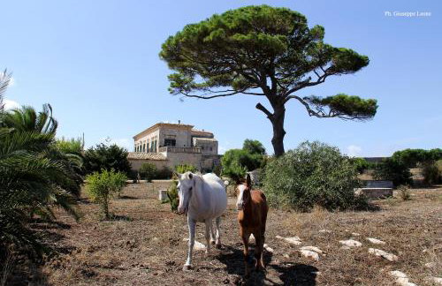 Villa Castiglione 1863 - The real Sicilian holiday - Foto 26