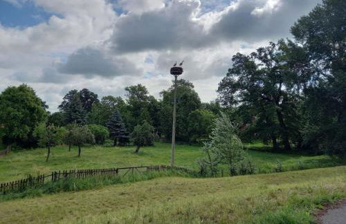 Holiday Home Haus Elbrose inmitten von Rosen mit Elbdeichzugang by Interhome - Foto 16