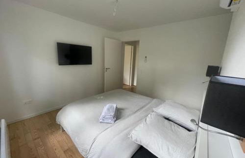 Olivier du ciel ODC - Photo 24