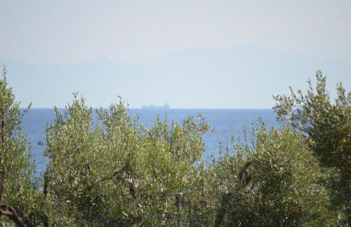 Leonidas Apartments and suites - Foto 43