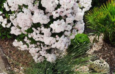 Apartment Nena - Foto 7