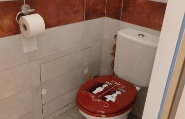 Gite La Saubolle à Marciac - Foto 20