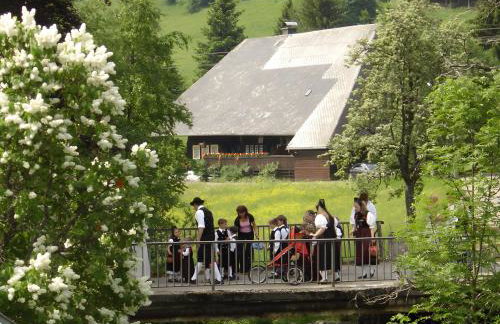 Kammbühlhof - Photo 28
