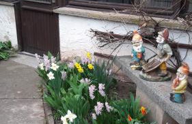 Ferienhaus Krähmer - Foto 12